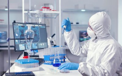 Rapid Testing Methods—Processor Preferences