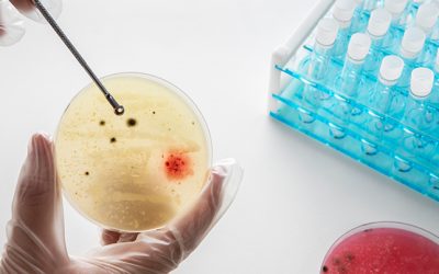 Determining Sanitation Effectiveness with a Robust Environmental Monitoring Program – Part 3