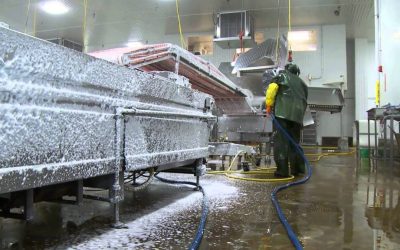 Can 5S Be a Useful Methodology for the Sanitation Team?