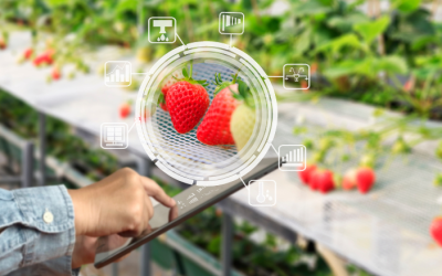 Is AI “Food Safe”?